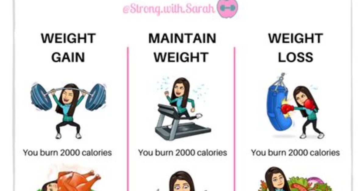 The Science Behind Weight Gain During Your Period | Signos