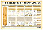 The Science of Baking: Bread