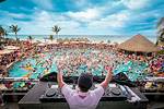 The Secrets of Paradise Blue Festival | Dive into the Waves of Bliss