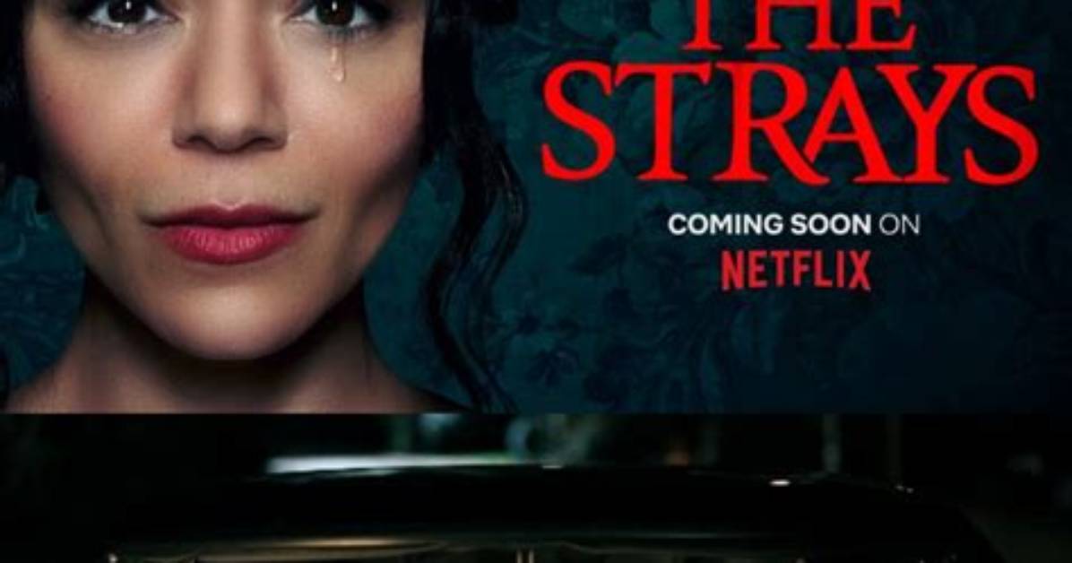 The Strays Release Date, Cast, Synopsis, Photos, Trailer, and More