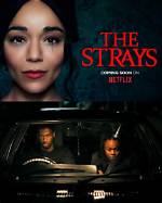 The Strays Release Date, Cast, Synopsis, Photos, Trailer, and More