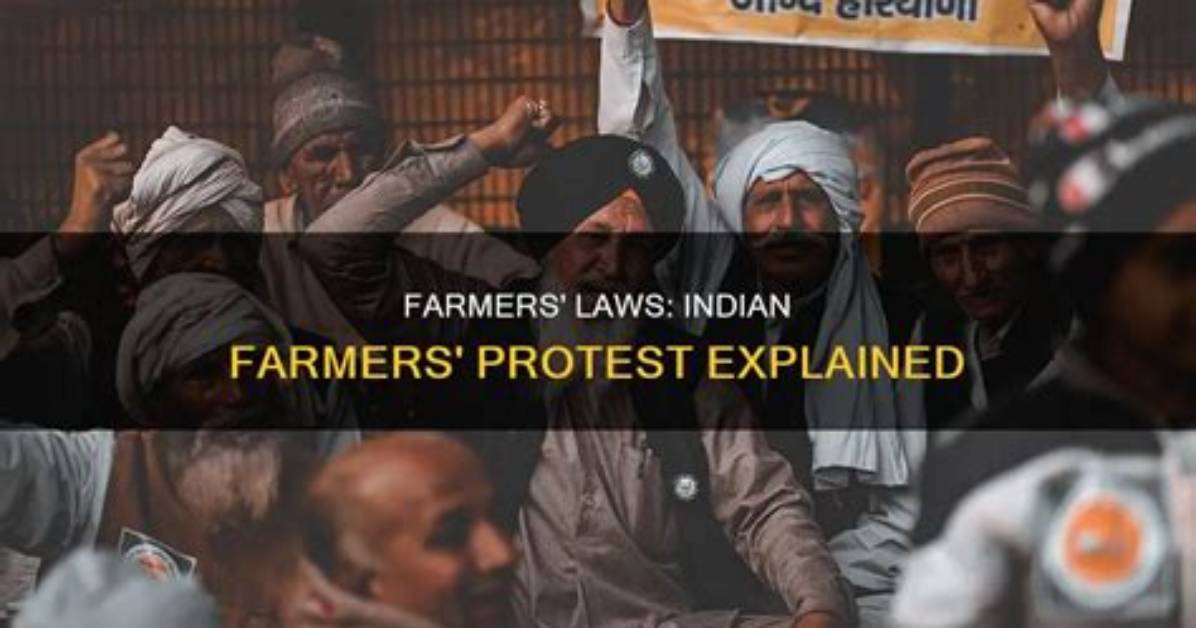 The Three Laws That Forced Indian Farmers to Hit the Streets