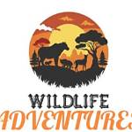 The Wild Life and Adventures of Jules Verne