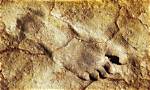 These Are 12,000 Year-Old Footprints Left by Humans During the Ice Age