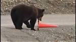 This Bear Is Helping Keep Drivers Safe