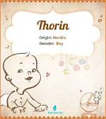 Thorin Meaning in English, Thorin Baby Name Origin Gender Meaning Pronunciation