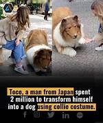 Toco the Human Dog: Story of Japanese Man Who Turned Himself into Border Collie Goes Viral – Photos and Video