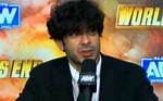 Tony Khan Voices Support for Introducing Aew Women’s Tag Team Titles