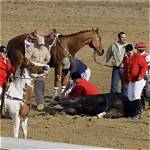 Tragedy Strikes Equestrian World as 3-Year-Old Filly Meets Devastating End at County Fair Marking the 47Th Horse Death in the State