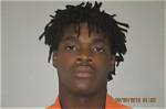 Trevor Raekwon Seward Receives Life Sentence for Murdering Mail Carrier ‘Irene Pressley’