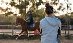 Under Equestrian Trainer Worth $51,691,542, 3-Year-Old Horse Storms to First Stakes Victory at $250,000 Race