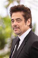 Understanding the Life of Benicio Del Toro's Wife: a Closer Look