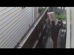 Ups Driver Throws Package over Gate, Urinates on House in Viral Video