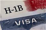 Us Crackdown on H-1B Visa: Announces Measures to Detect Fraud and Abuse | H1B Visa | Us | Donald Trump | Crackdown | Fraud and Abuse | World News