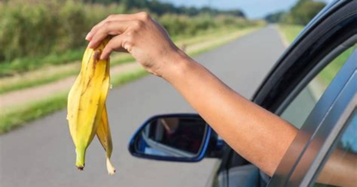 Van Driver Slapped with Eye-Watering Fine for ‘Lobbing a Banana out of the Window’ - Now It’s Gone to Court
