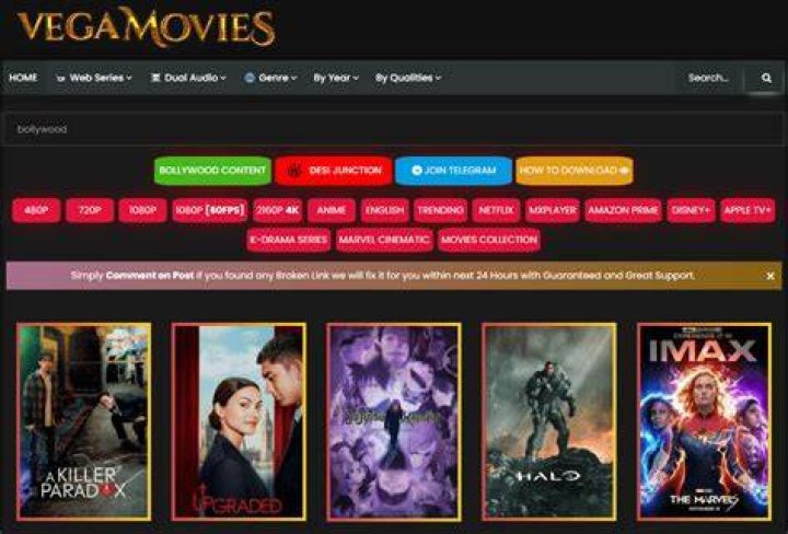 Vegamovies 2.0 Shut Down: What You Need to Know & Alternatives