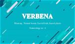 Verbena Meaning in English, Verbena Baby Name Origin Gender Meaning Pronunciation