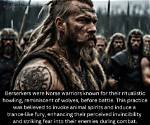 Viking Berserker and Their Animalistic Qualities - Documentary