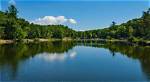 Visit Pandapas Pond | Macaroni Kid New River Valley