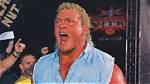 Wcw vs Wwf: Sid Vicious