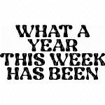 What a Year It Has Been!