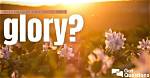 What Are Some Bible Verses About Glory?