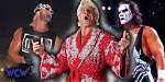 What Are the 3 Biggest Reasons Wcw Went Under?