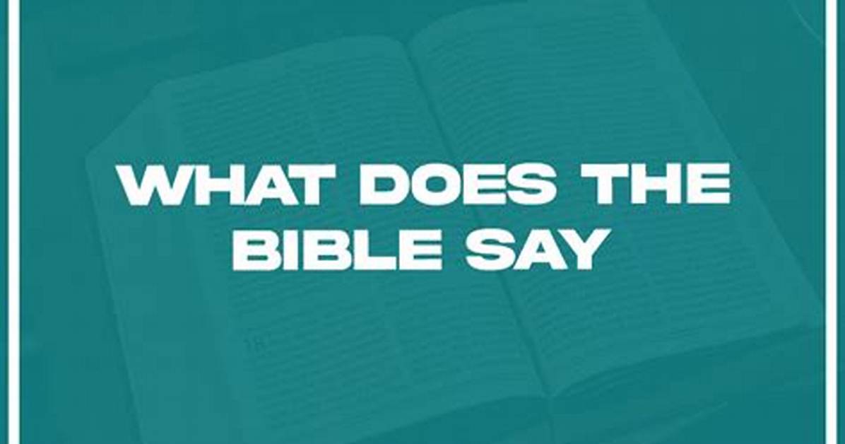 What Does the Bible Say About Women’s Rights?
