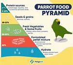 What Food Can Macaws Eat? Nutritional Facts & Faq