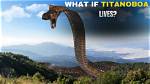 What If Titanoboa Snake Never Went Extinct?