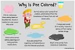 What Is a Pee Fetish in You Season 4 Part 1?