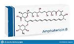 What Is Amphotericin B Used for and What Are the Risks of Its Use