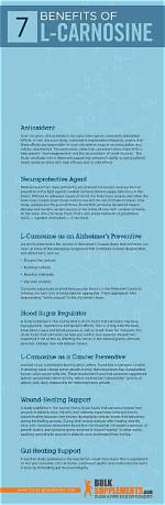 What Is L Carnosine? | Should You Be Taking It?