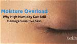 What Is Moisture Overload and What Can It Do to Your Hair?