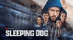 What Is Sleeping Dog About on Netflix?