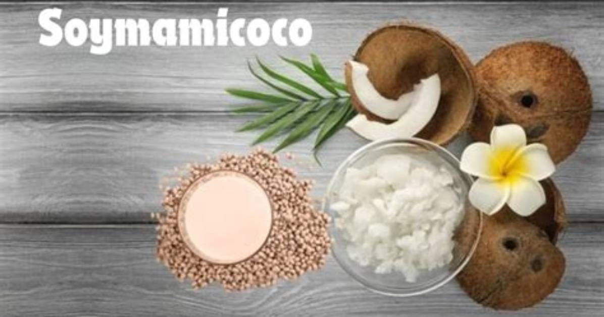 What Is Soymamicoco?