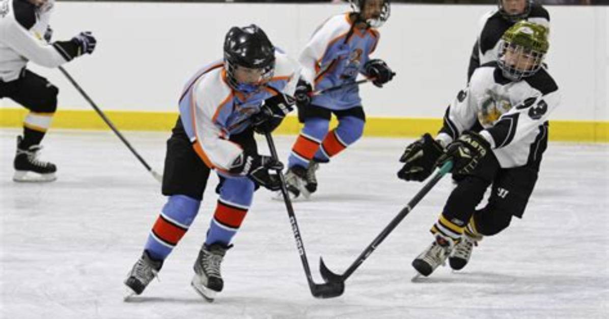 What Is the Youth Hockey Hub? and How to Use It