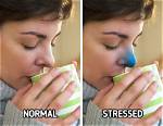 What It Means When Your Nose Feels Cold