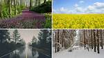 What March Weather Brings |