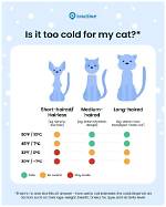 What Temperatures Do Cats Like? Vet-Approved Facts & Safety Tips | Pangovet