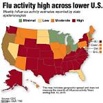 What Virus Is Going Around in Florida