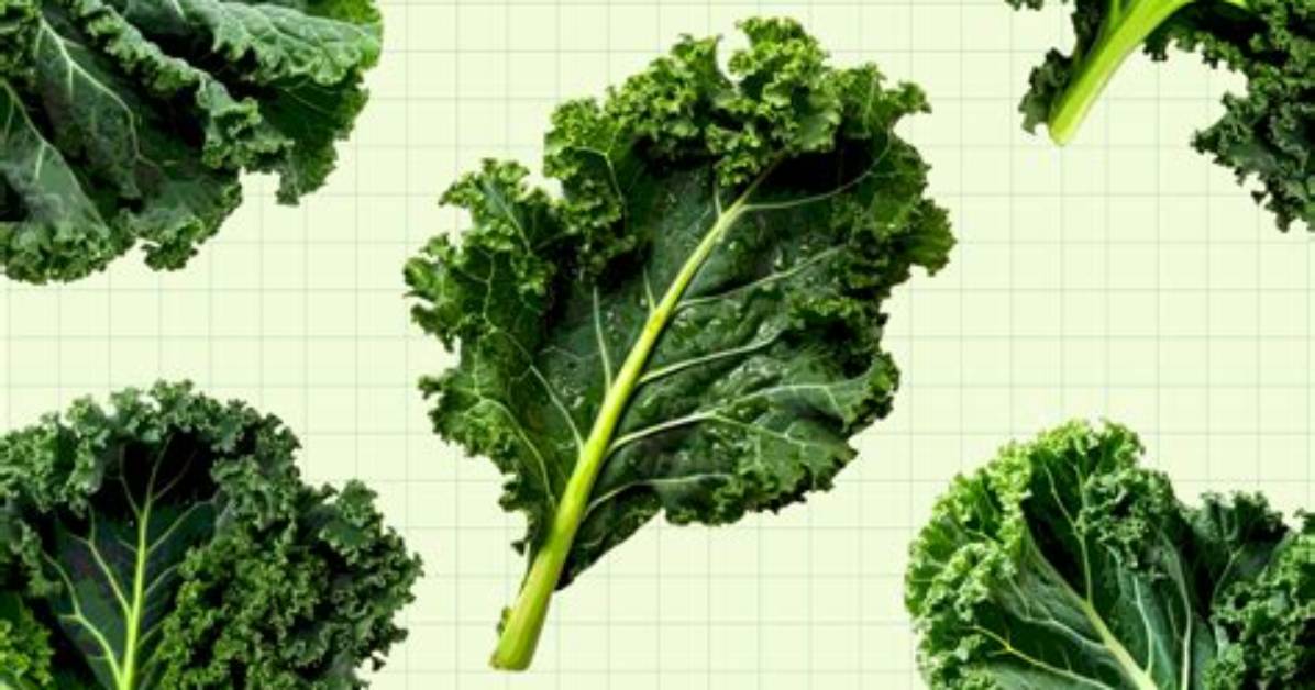 When You Eat Kale Every Day, This Is What Happens to Your Body