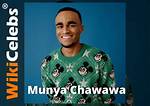Who Is Munya Chawawa? Age, Wiki, Height, Biography, Wife, Race, Net Worth, Parents & More