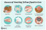 Why Did My Cat Throw up Yellow Liquid (Bile)? 6 Vet-Reviewed Causes