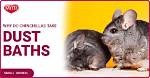 Why Do Chinchillas Take Dust Baths? Vet-Reviewed Grooming Tips