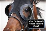 Why Do People Cover Horse's Eyes? Common Reasons Explained