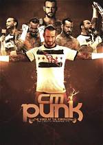 Why Do You Hate Cm Punk?