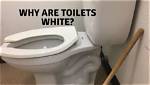 Why Toilets Are Always White