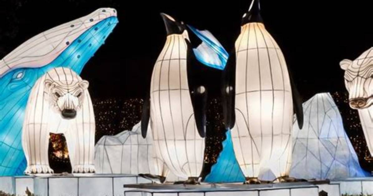 Winter Lantern Festival Tysons Sparks Magic! Chase Away the Chill