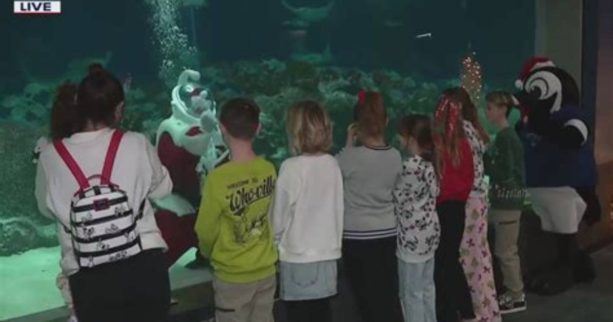 Winter Wonderland at Odysea Aquarium